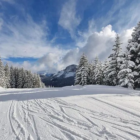Alpenchalet Im Steirischen Salzkammergut Tauplitz Exteriér fotografie