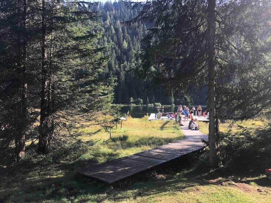 Holiday home Alpenchalet Im Steirischen Salzkammergut Tauplitz