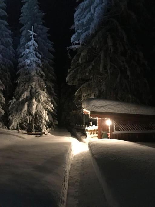 Holiday home Alpenchalet Im Steirischen Salzkammergut Tauplitz