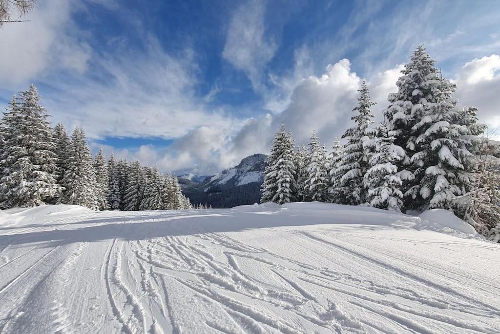 Holiday home Alpenchalet Im Steirischen Salzkammergut *