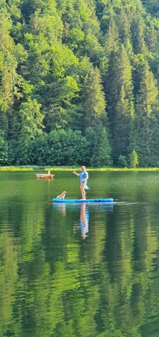 Holiday home Alpenchalet Im Steirischen Salzkammergut Tauplitz