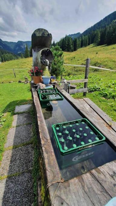 Holiday home Alpenchalet Im Steirischen Salzkammergut Tauplitz