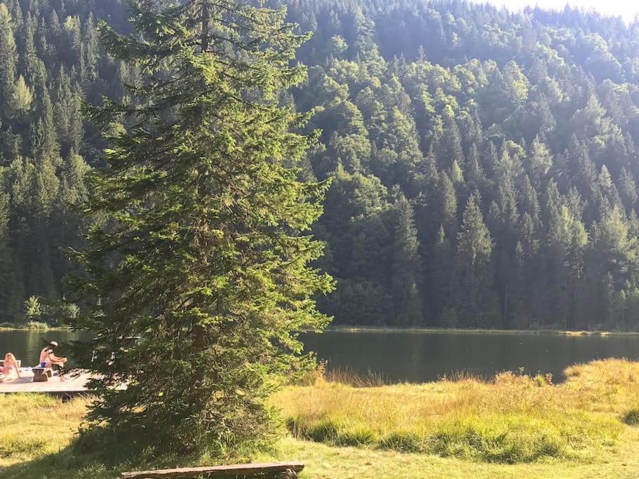 Holiday home Alpenchalet Im Steirischen Salzkammergut *