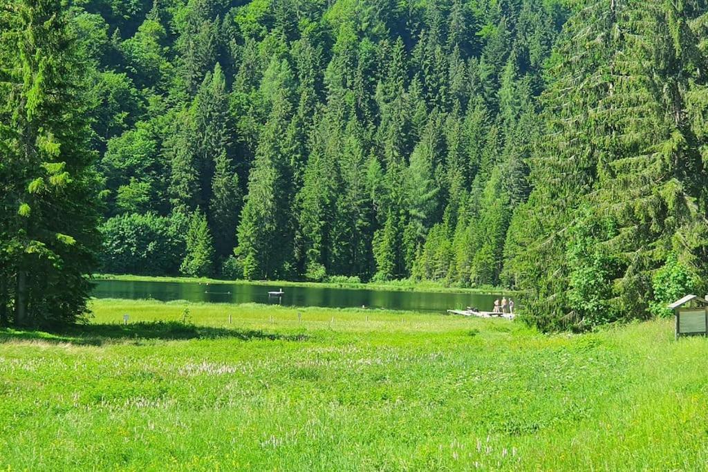 Alpenchalet Im Steirischen Salzkammergut *
