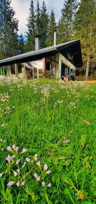 Holiday home Alpenchalet Im Steirischen Salzkammergut