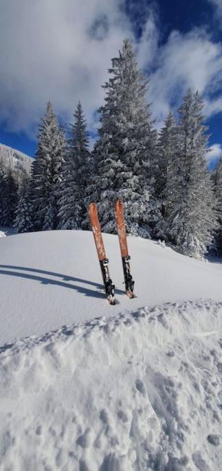 Alpenchalet Im Steirischen Salzkammergut Holiday home