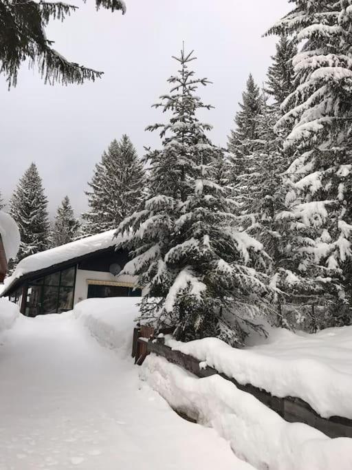 Alpenchalet Im Steirischen Salzkammergut * Tauplitz