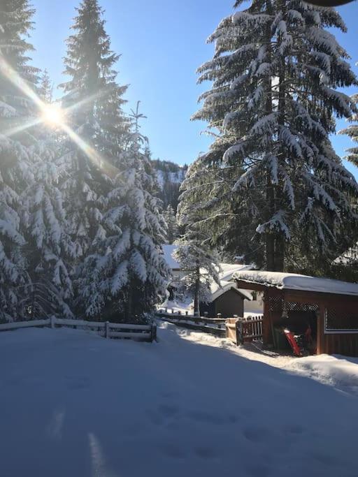 Alpenchalet Im Steirischen Salzkammergut Ferienhaus *