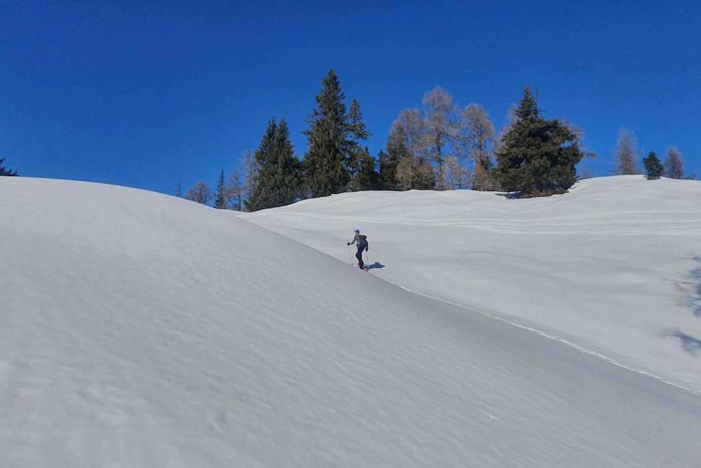 Alpenchalet Im Steirischen Salzkammergut *