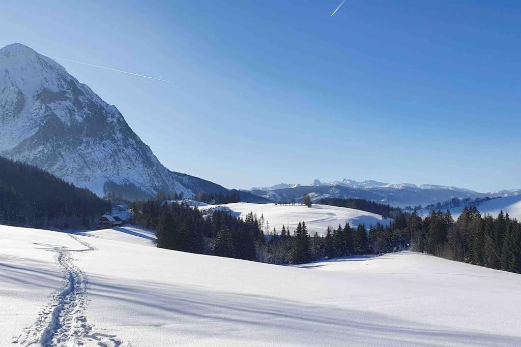 Ferienhaus Alpenchalet Im Steirischen Salzkammergut *